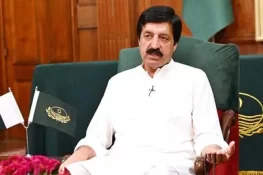 ن لیگ سے ہمارا اتحاد محبت کا نہیں مجبوری کا ہے، گورنر سلیم حیدر خان