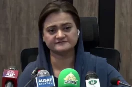 پنجاب بھر میں درجنوں فیکٹریاں اور کارخانے سیل کر دیئے گئے، مریم اورنگزیب