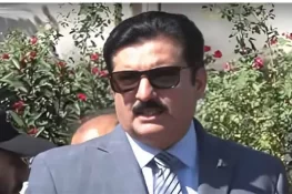 تحریک انصاف کے لیے میں اکیلا ہی کافی ہوں، فیصل کریم کنڈی