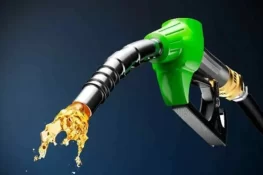 حکومت کا پٹرولیم مصنوعات کی قیمتوں میں اضافہ نہ کرنے کا فیصلہ