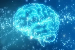 دماغ کیسے یادداشت کو تیز کرتا ہے؟ نئی تحقیق پر سب حیران رہ گئے