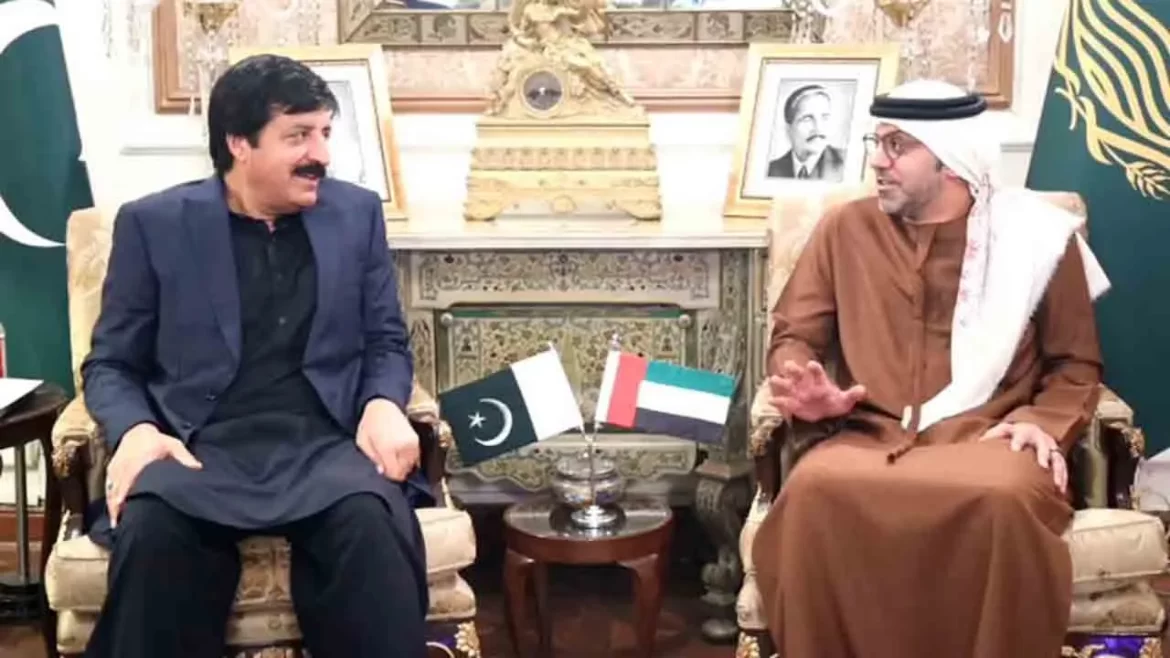 پاکستان اور یو اے ای تعلقات کو مزید بلندیوں تک لیکر جانا چاہتے ہیں، گورنر پنجاب