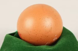 انتہائی نایاب گول انڈا 70 ہزار روپے میں فروخت