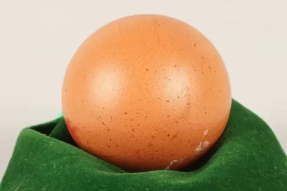 انتہائی نایاب گول انڈا 70 ہزار روپے میں فروخت