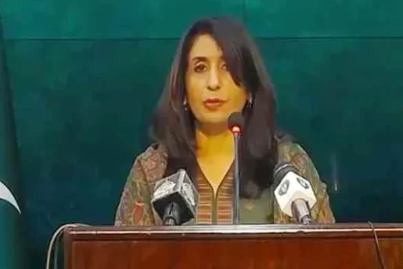 پاکستان نے افغانستان کے ساتھ بارڈر کے علاقوں میں آپریشن کیے، دفتر خارجہ