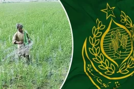 حکومت کا کسانوں کو 1 لاکھ ایکڑ پر سبسڈی دینے کا فیصلہ