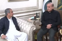 آئی سی سی چیمپئنز ٹرافی: وزیراعظم کا محسن نقوی پر اعتماد کا اظہار