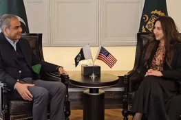 محسن نقوی کی امریکی سفیر سے ملاقات، دو طرفہ تعاون بڑھانے پر تبادلہ خیال