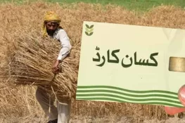 بلوچستان حکومت کا بے نظیر کسان کارڈ متعارف کرانے کا فیصلہ