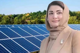 1 لاکھ صارفین کیلئے سی ایم پنجاب فری سولر پینل اسکیم لانچ کردی گئی