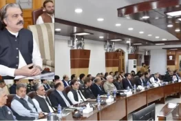 ایپکس کمیٹی اجلاس کی اندرونی کہانی سامنے آگئی