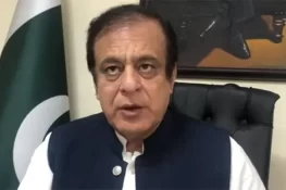 ڈی چوک احتجاج کیس: شبلی فراز کی 5 مقدمات میں عبوری ضمانتیں منظور