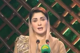 سیاسی جماعتوں کو لاحق بیماریوں کا بھی علاج کرنا ہے، وزیراعلیٰ مریم نواز