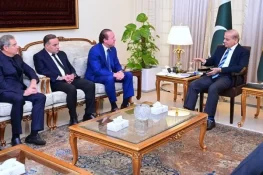 وزیراعظم سے امریکی سرمایہ کار وفد کی ملاقات، پاکستان میں اربوں ڈالرز کی سرمایہ کاری کی خواہش