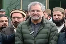 پیکا کے ذریعے آزادیوں کا گلا گھونٹنے کی کوشش کی جا رہی ہے، شاہد خاقان عباسی