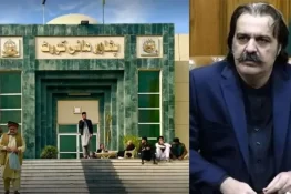 پشاور ہائیکورٹ: علی امین کو 3 ہفتوں تک کسی بھی مقدمے میں گرفتار نہ کرنے کا حکم