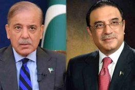 بھارت کو کشمیر میں انسانی حقوق کی خلاف ورزیوں سے روکا جائے ، صدر و وزیراعظم