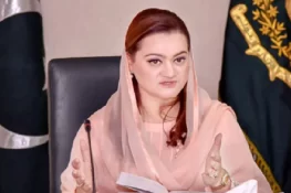آلودگی پھیلانے والے عناصر کو کسی صورت معاف نہیں کیا جائے گا، مریم اورنگزیب