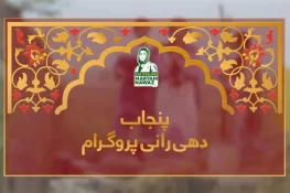 پاکستان کا پہلا پنجاب دھی رانی پروگرام لانچ، 51 شادیوں کی اجتماعی تقریب