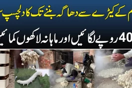 ریشم کے کیڑے سے ماہانہ لکھوں کمانے کا طریقہ