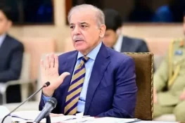 حجاج کرام کی معاونت میں کسی قسم کی لاپرواہی برداشت نہیں کروں گا، شہباز شریف