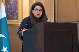 کوئی بھی سرکاری ادارہ ڈیجیٹل ہونا نہیں چاہتا، شزہ فاطمہ