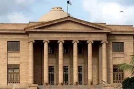 پولیس کی بھتہ خوری سے بچایا جائے، ورنہ واپس چین چلے جائیں گے، چینی سرمایہ کار