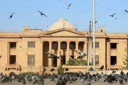 26 ویں ترمیم کیخلاف ایک اور درخواست پر وفاقی حکومت، دیگر کو نوٹس جاری