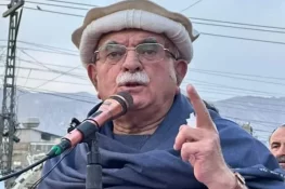 چوری کے ذریعے حکومت میں آنے والے آئین سے ڈرتے ہیں، محمود خان اچکزئی