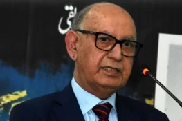 میرے علم میں نہیں کہ حکومت ریفرنس لانے کا سوچ رہی ہے یا نہیں، عرفان صدیقی
