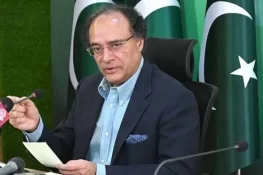 حکومت کاروبار چلانے کے حوالے سے نجی شعبے کو پالیسیاں دے، وفاقی وزیر خزانہ