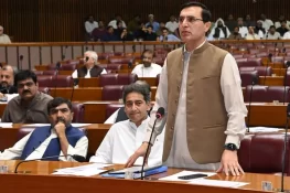 ارکان پارلیمنٹ کی تنخواہوں میں اضافے پر پی ٹی آئی کا دوہرا معیار