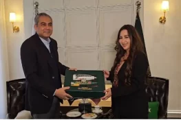 محسن نقوی سے قائم مقام امریکی سفیر کی ملاقات، دہشتگردی سمیت اہم امور پر گفتگو