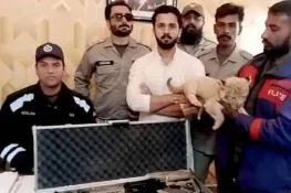 وائلڈ لائف کا یوٹیوبر رجب بٹ کیخلاف ایک بار پھر عدالت سے رجوع کا فیصلہ