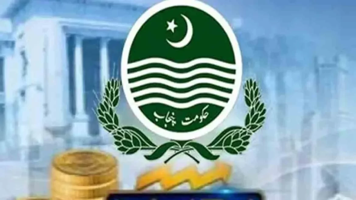 حکومت پنجاب کا حاملہ خواتین کے لیے 23 ہزار روپے امداد کا اعلان