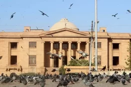 عارف علوی کے ڈینٹل کلینک کے خلاف قانونی کارروائی سے قبل تقاضے پورے کرنے کی ہدایت