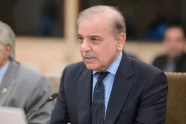 معاشی استحکام کے لیے میں اور آرمی چیف دوست ممالک کے پاس گئے، وزیراعظم