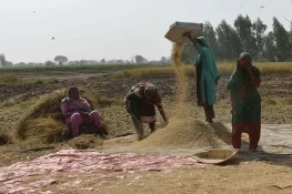 چولستان میں زرعی انقلاب: محفوظ شہید کنال کی تعمیر ناگزیر