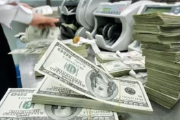 حکومت کو رواں مالی سال کے پہلے 8 ماہ میں 4.9 ارب ڈالر بیرونی ذرائع سے موصول