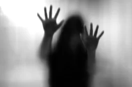 دولت نگر میں خاتون کے ساتھ مبینہ زیادتی، مقدمہ درج