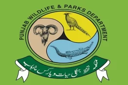 پنجاب میں شیر، چیتا، جگوار اور تیندوا رکھنے والوں کو 30 دن میں اندراج کروانے کا حکم