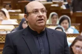 کچے کے 90 فیصد علاقے کو ڈاکوؤں سے خالی کروا لیا گیا، مجتبیٰ شجاع الرحمان