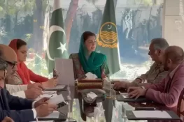 دیہی مراکز صحت کی آؤٹ سورسنگ کا اصولی فیصلہ