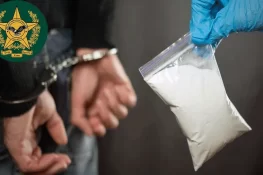 اے این ایف کی ملک بھر میں کارروائیاں، 8 افراد گرفتار