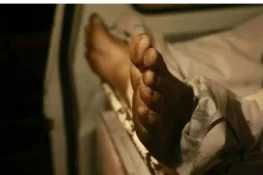 گھریلو جھگڑے پر بیٹے کے ہاتھوں ماں قتل، پولیس نے ملزم کو گرفتار کر لیا