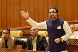 انسداد دہشت گردی عدالت کا پی ٹی آئی ایم پی اے کی جائیداد قرق کرنے کا حکم