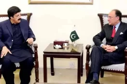 گورنر پنجاب سے وزیر خزانہ محمد اورنگزیب کی ملاقات، درپیش چیلنجز پر تفصیلی گفتگو