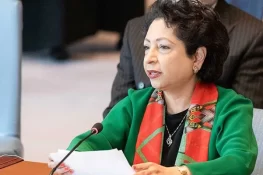 امریکی کانگریس کے اراکین کا دورہ پاکستان محض خیرسگالی کی نوعیت رکھتا ہے، ملیحہ لودھی