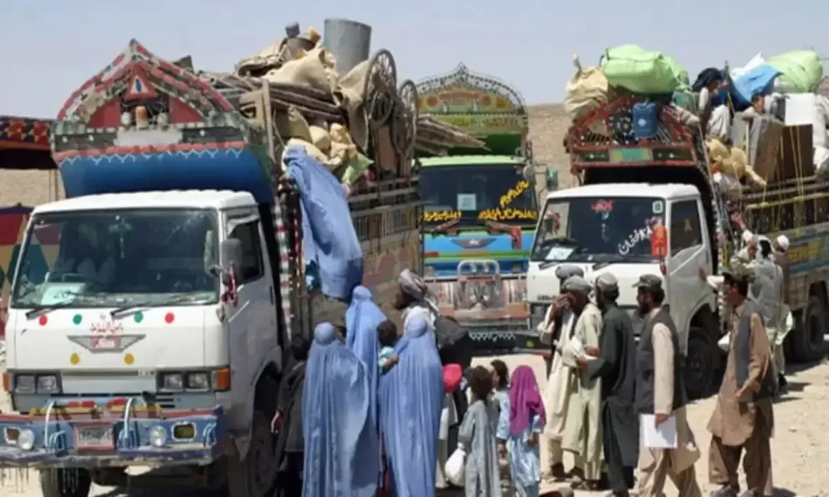 افغانیوں کی واپسی پر شکایات کے ازالے کے لیے کنٹرول روم قائم