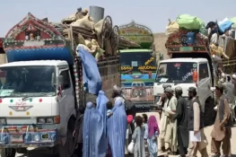 افغانیوں کی واپسی پر شکایات کے ازالے کے لیے کنٹرول روم قائم